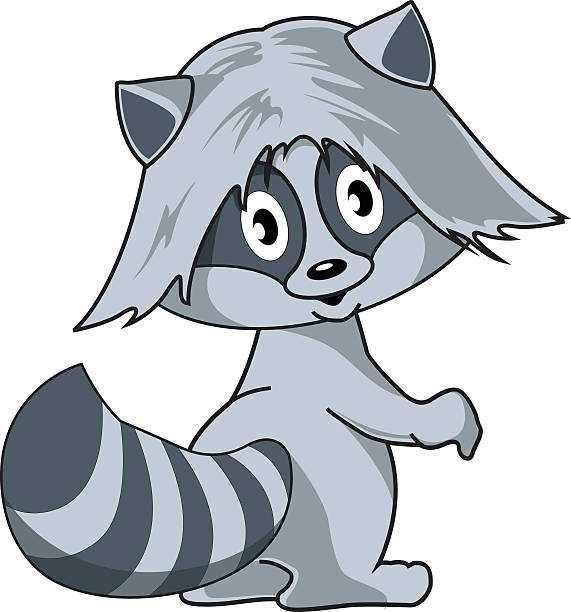571x612 Raccoon Clipart Omnivore