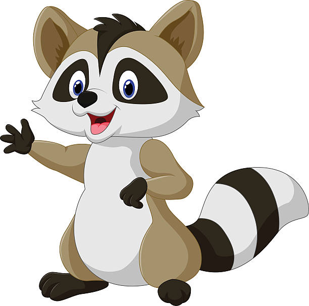612x606 Raccoon Clipart Squirrel