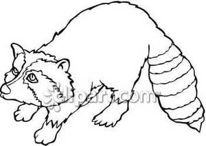 300x213 Raccoon Clipart Black And White