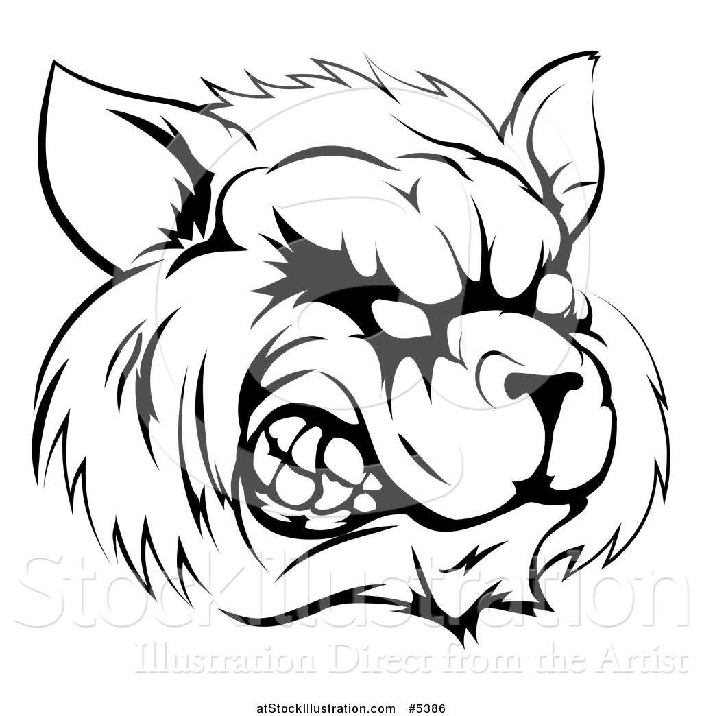 1024x1044 Vector Illustration Of A Black And White Snarling Raccoon Mascot