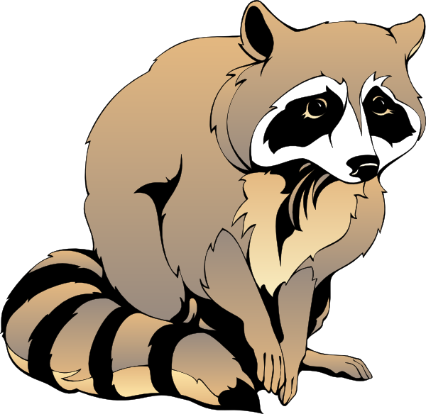 600x584 Raccoon Clip Art