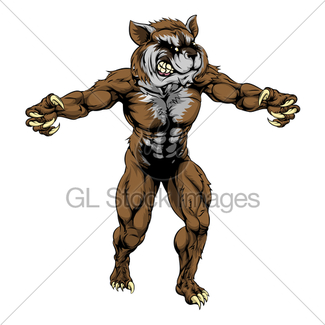 325x325 Rough Mean Cartoon Raccoon Mascot Head Gl Stock Images