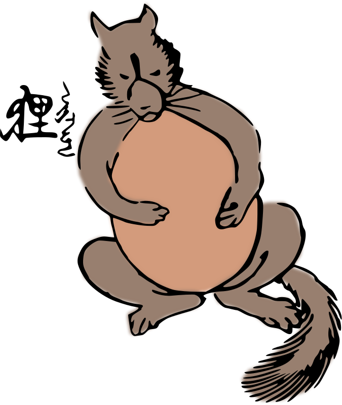 675x800 Images Of A Raccoon