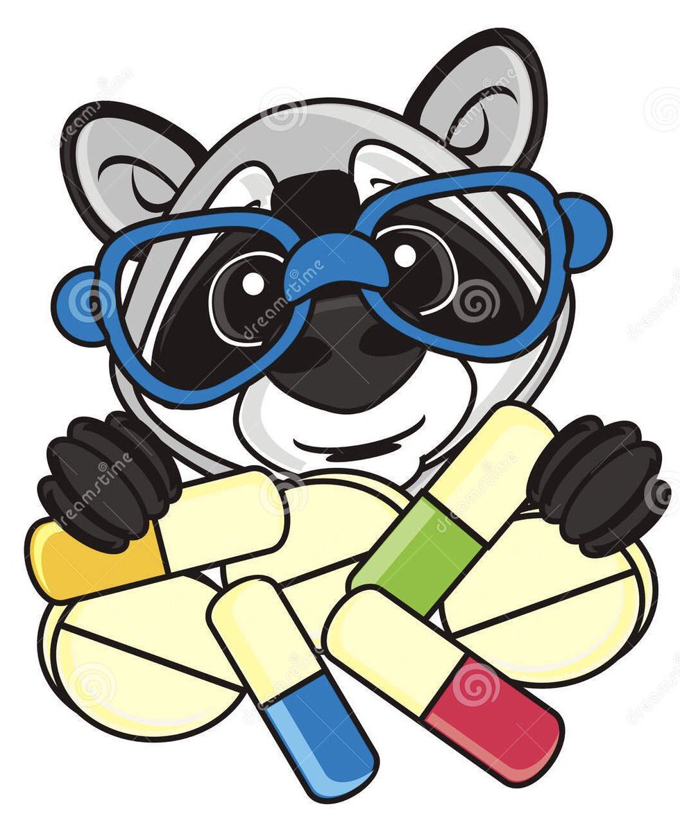 980x1200 Oh Hello, Lisa (@lisatheraccoon) Twitter