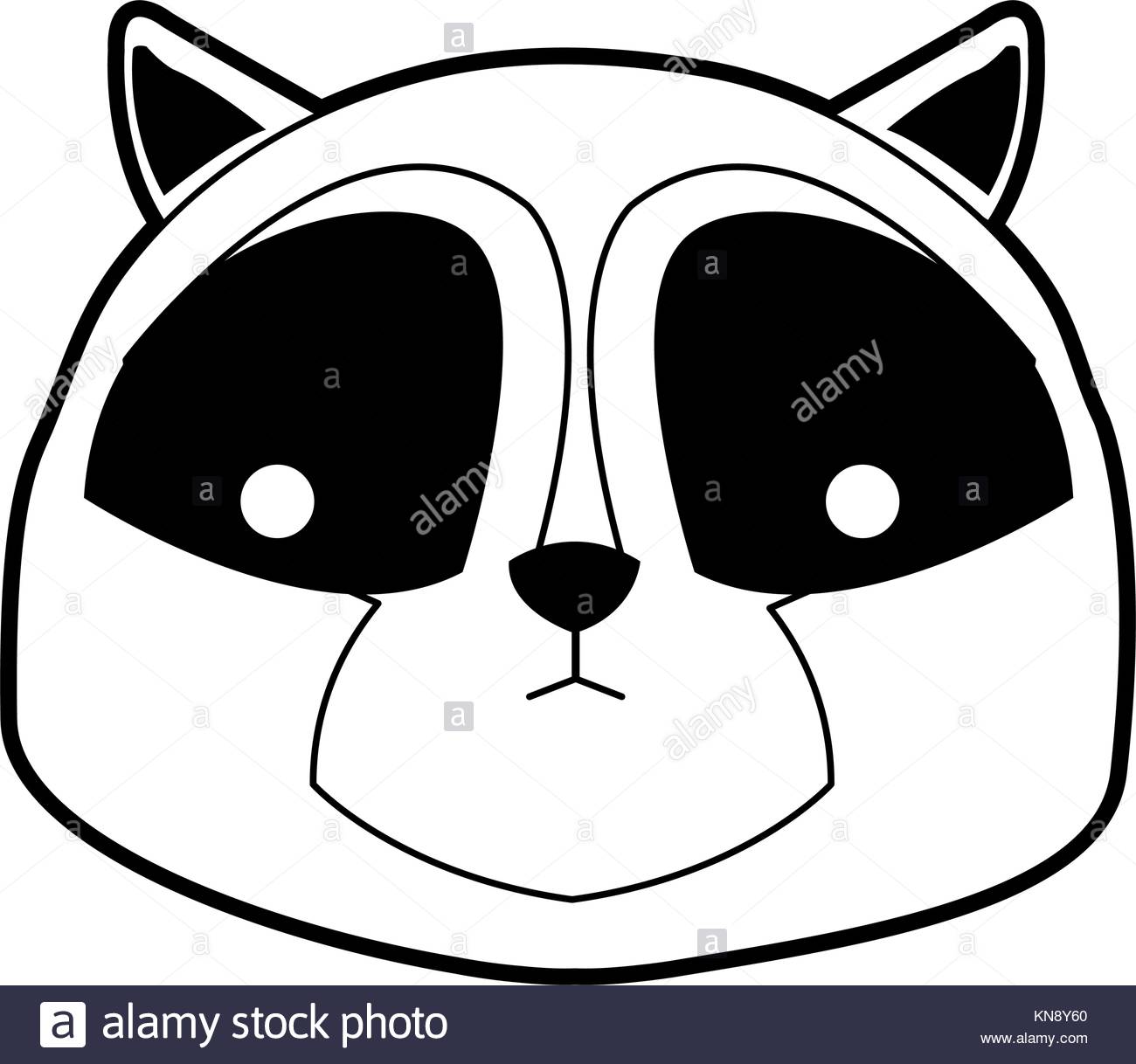 1300x1218 Raccoon Black And White Stock Photos Amp Images