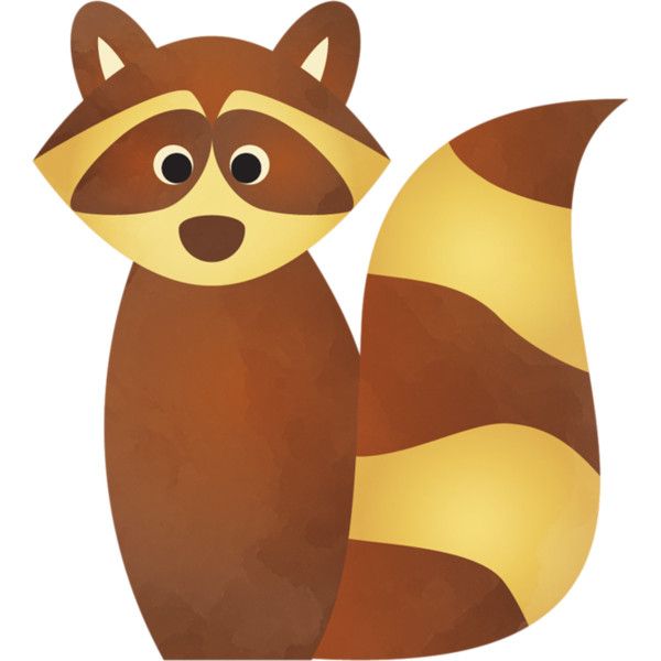 600x600 96 Best Raccoon Images Children, Alphabet And Chris