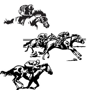 300x300 Products Western Graphics