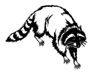 320x259 Coon Hunting Clipart