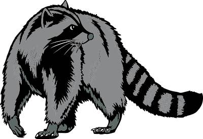 400x274 Racoon Clipart Silhouette