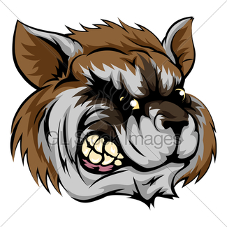 325x325 Rough Mean Cartoon Raccoon Mascot Head Gl Stock Images