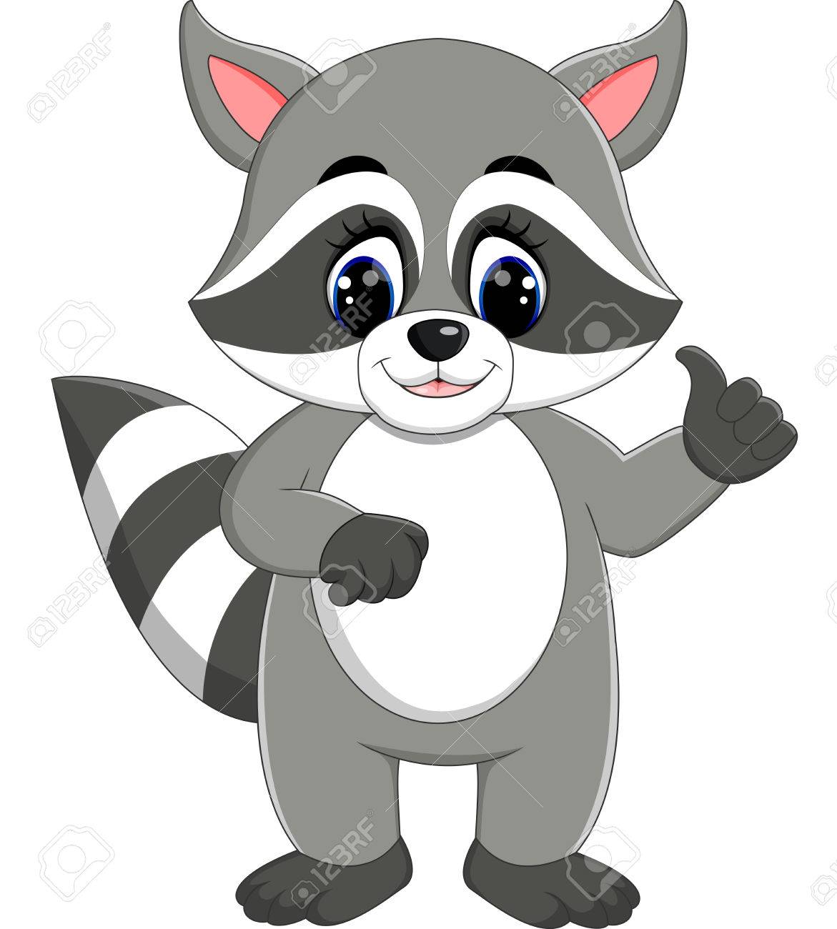 1171x1300 Baby Raccoon Cartoon Stock Photo, Picture And Royalty Free Image