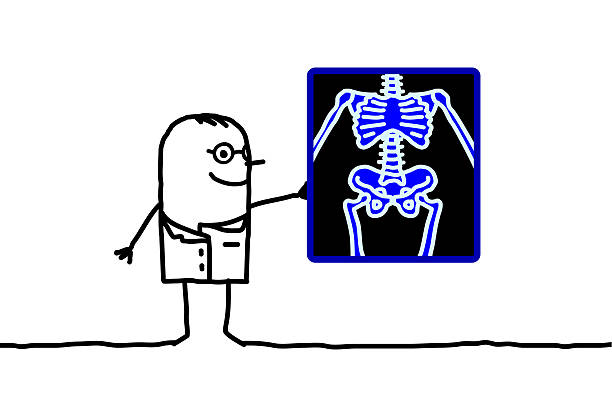 612x415 Skeleton Clipart Radiology