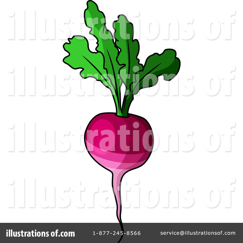1024x1024 Beets Clipart