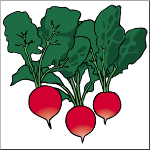 304x304 Clip Art Radishes Color I Abcteach