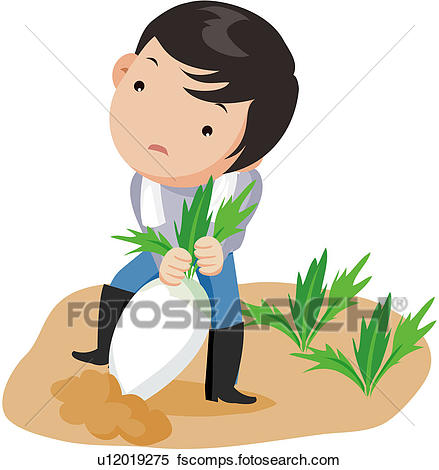 439x470 Clipart Of Radish, Character, Greens, Vegetable, Field U12019275