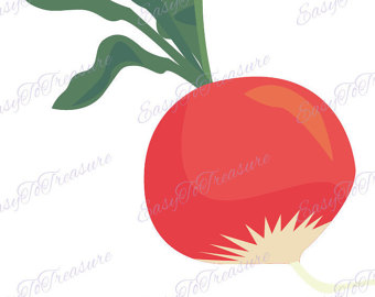 340x270 Cultivated Radish Clipart