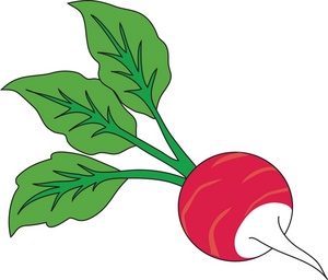 300x256 Free Radish Clipart Image 0071 0806 1014 0542 Acclaim Clipart