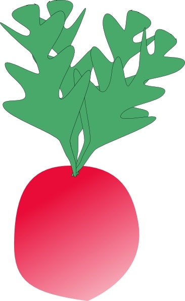 366x596 Radish Clip Art Free Vector In Open Office Drawing Svg ( Svg