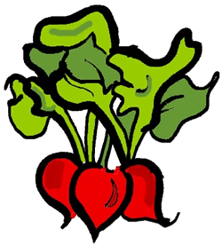 250x275 Radish Clipart Animated