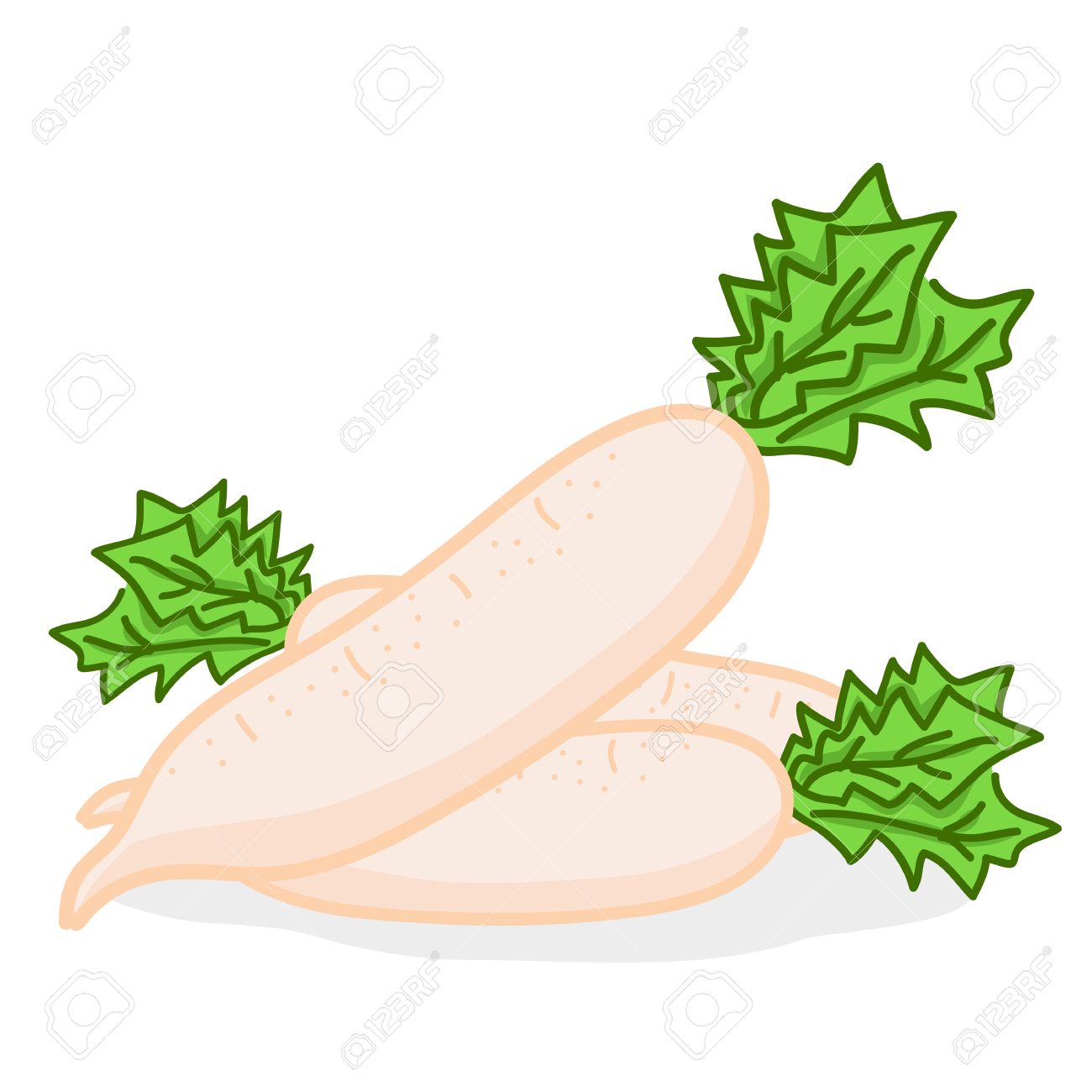 1300x1300 Radish Clipart Cartoon