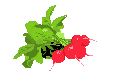 425x282 Radish Freetiiupix Clip Art Free Clipart Images