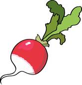 165x170 Red Radish Clip Art