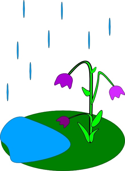 438x597 Rain Flowers Clip Art Free Vector In Open Office Drawing Svg