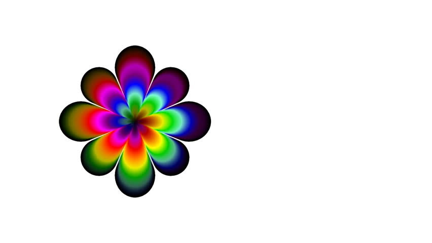 852x480 3d Abstract Rainbow Flower Rotating On The White Background Stock