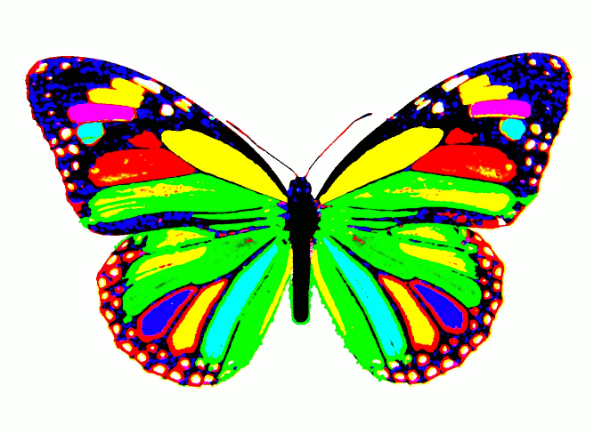 667x488 Rainbow Butterfly Gif
