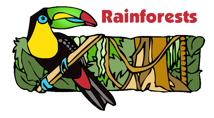 711x391 Best Rainforest Clipart