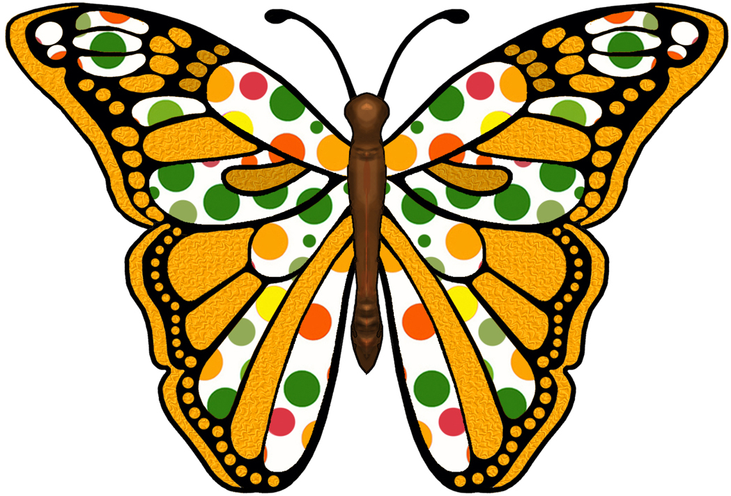 1049x711 Rainforest Clipart Rainforest Butterfly