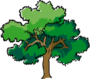 298x264 Rainforest Clipart Narra Tree