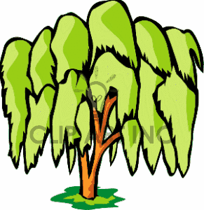 291x300 Tree Clipart Rainforest