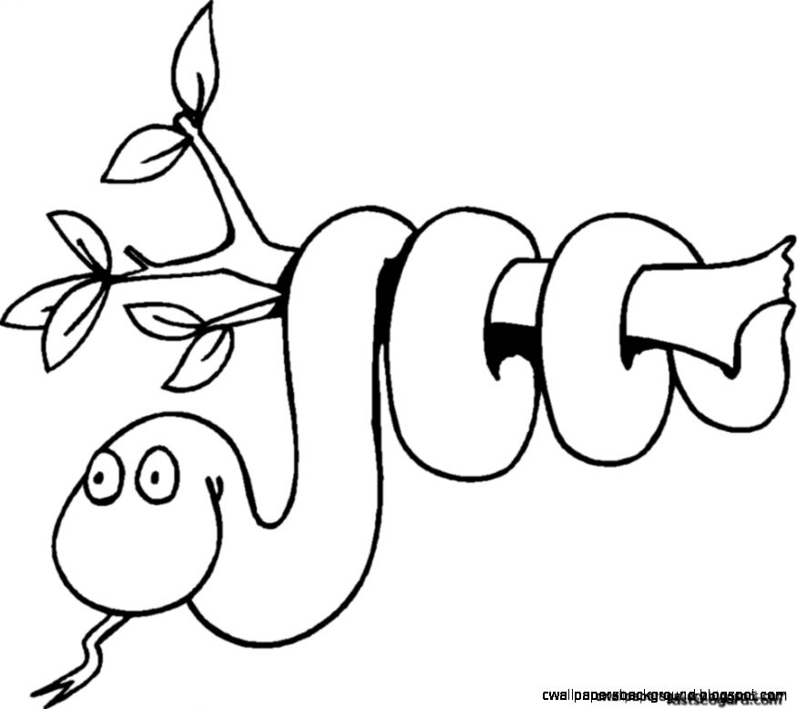 875x778 Rainforest Clipart Drawn