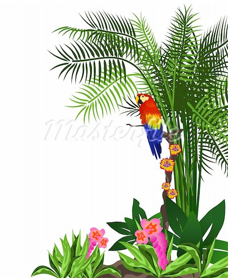 451x550 Leaf Clipart Rainforest