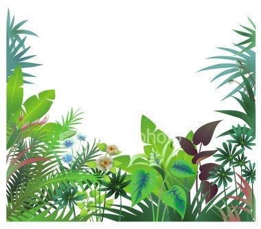 380x333 Rainforest Background Clipart Border