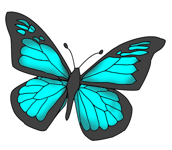 591x514 Rainforest Butterfly Clip Art Cliparts