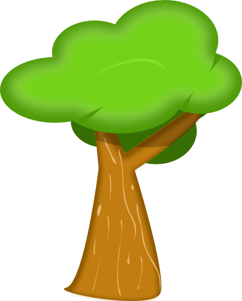 480x595 Rainforest Trees Clipart