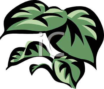 350x299 Clip Art Border Rainforest Leaves Clipart Cliparthut