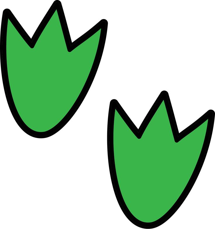 736x783 Clip Art Rainforest Plants Clipart