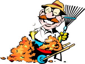 300x226 Art Image A Smiling Man With A Rake And Fall Leaves In A Wheelbarrow