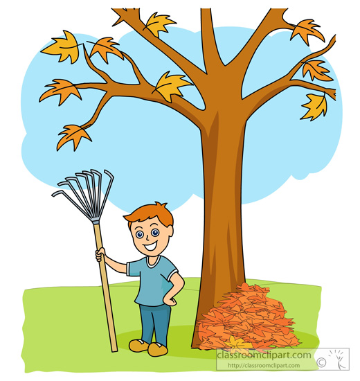 520x550 Falling Clipart Leaf Raking