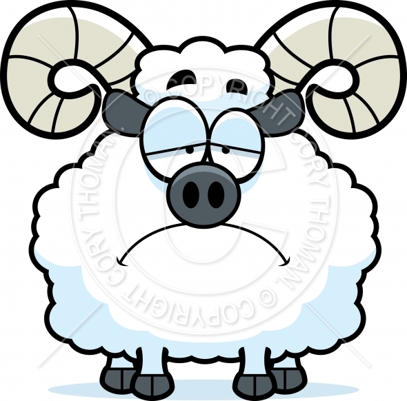 590x582 Ram Cartoon Clipart 2020367