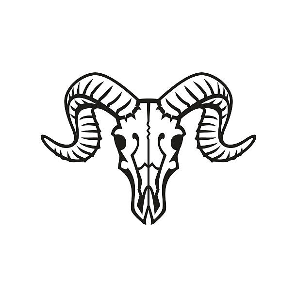 612x612 Bighorn Sheep Clipart Ram