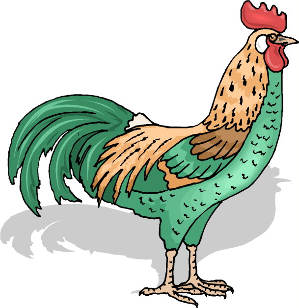609x628 Farm Animals Clipart Ranch