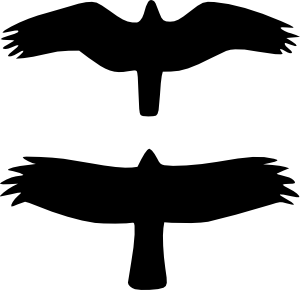 300x290 Raptors Clip Art