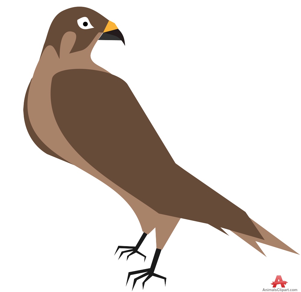999x968 Top Hawk Clipart Free Image