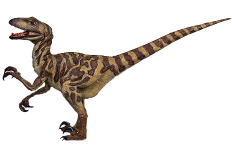 464x298 Park Raptor Clipart