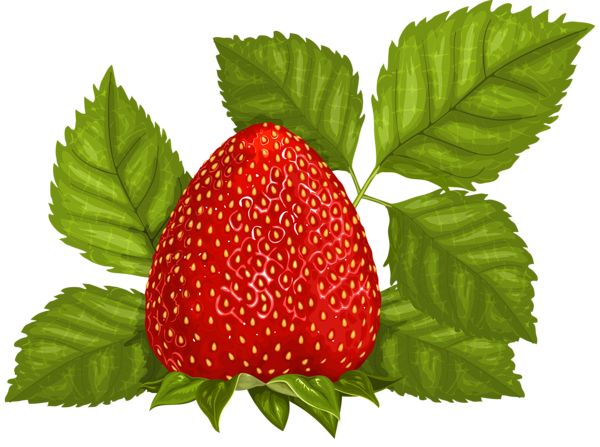 Raspberry Clipart