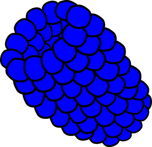 299x291 Blue Raspberry Clip Art